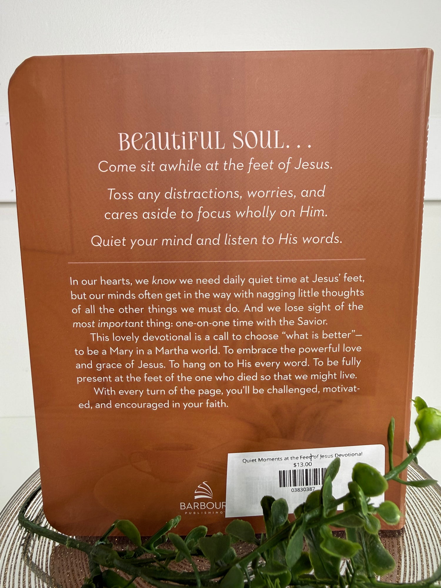 Quiet Moments at the Feet of Jesus Devotional
