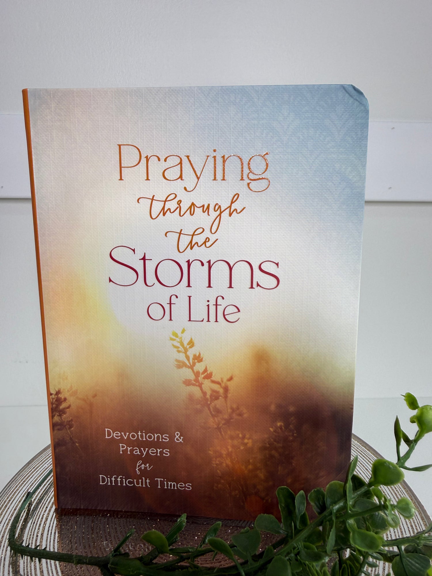 Praying through the Storms of Life Devotional